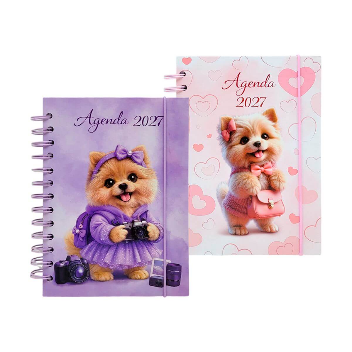 AGENDA 2027 137X189MM 168FLS SXFS-14805 Material Escritório